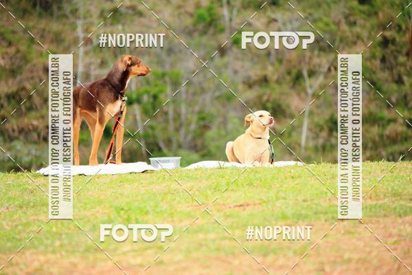 Acquista le foto dell'eventoKaluan� Trail e Canicross - Irisphoto in Fotop