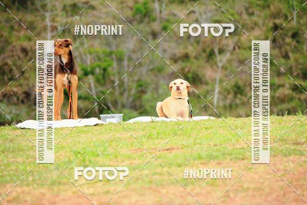 Acquista le foto dell'eventoKaluan� Trail e Canicross - Irisphoto in Fotop