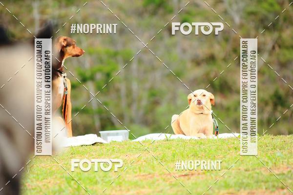 Acquista le foto dell'eventoKaluan� Trail e Canicross - Irisphoto in Fotop