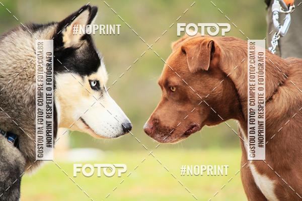 Acquista le foto dell'eventoKaluan� Trail e Canicross - Irisphoto in Fotop