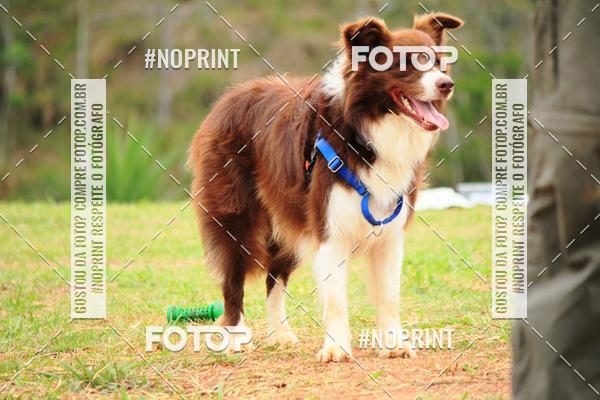 Acquista le foto dell'eventoKaluan� Trail e Canicross - Irisphoto in Fotop