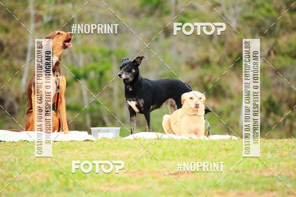 Acquista le foto dell'eventoKaluan� Trail e Canicross - Irisphoto in Fotop