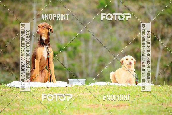 Acquista le foto dell'eventoKaluan� Trail e Canicross - Irisphoto in Fotop