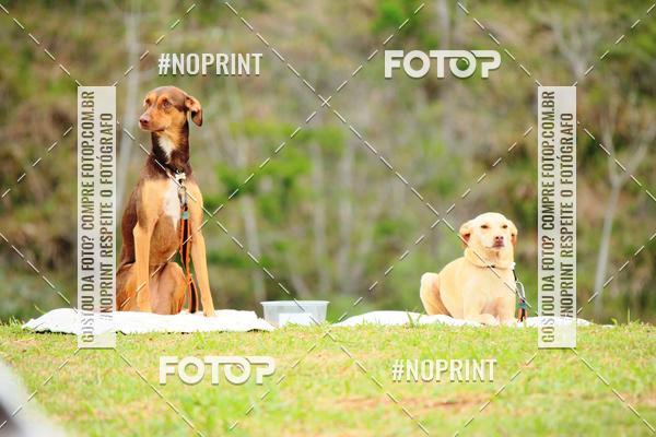 Acquista le foto dell'eventoKaluan� Trail e Canicross - Irisphoto in Fotop