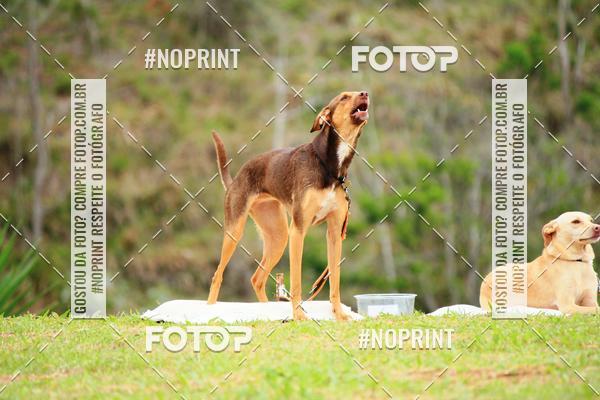 Acquista le foto dell'eventoKaluan� Trail e Canicross - Irisphoto in Fotop