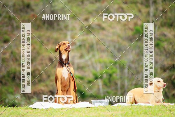 Buy your photos of the eventKaluan� Trail e Canicross - Irisphoto on Fotop