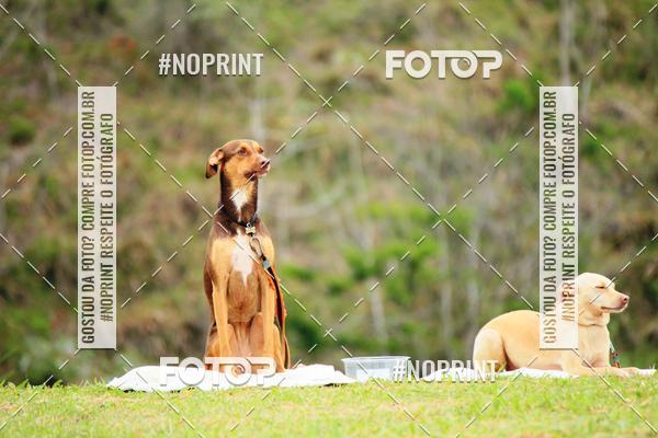 Buy your photos of the eventKaluan� Trail e Canicross - Irisphoto on Fotop