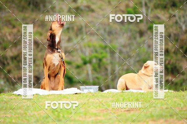 Buy your photos of the eventKaluan� Trail e Canicross - Irisphoto on Fotop