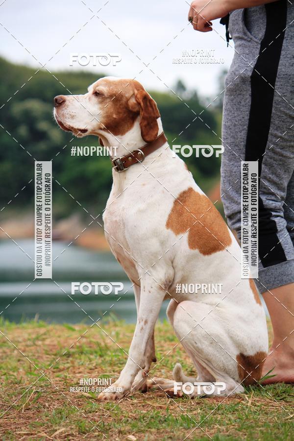 Buy your photos of the eventKaluan� Trail e Canicross - Irisphoto on Fotop