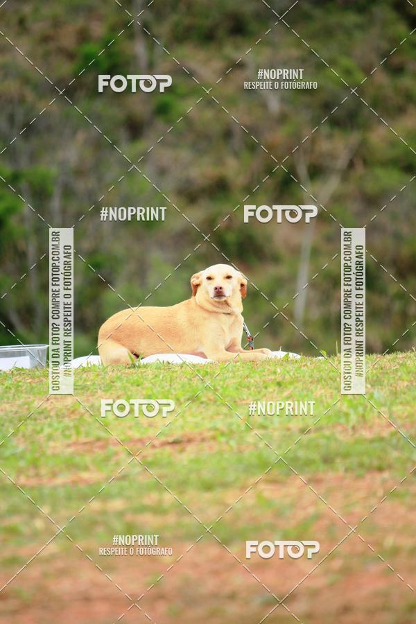 Buy your photos of the eventKaluan� Trail e Canicross - Irisphoto on Fotop