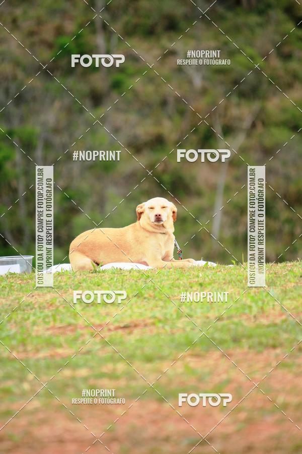 Buy your photos of the eventKaluan� Trail e Canicross - Irisphoto on Fotop