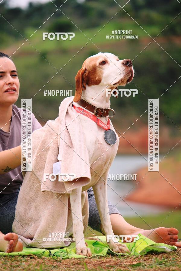 Buy your photos of the eventKaluan� Trail e Canicross - Irisphoto on Fotop