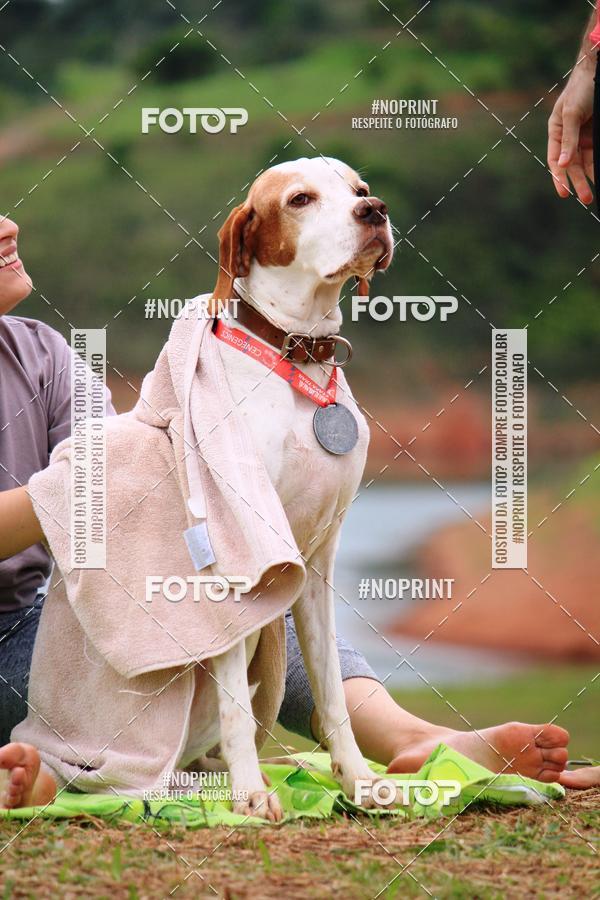 Buy your photos of the eventKaluan� Trail e Canicross - Irisphoto on Fotop