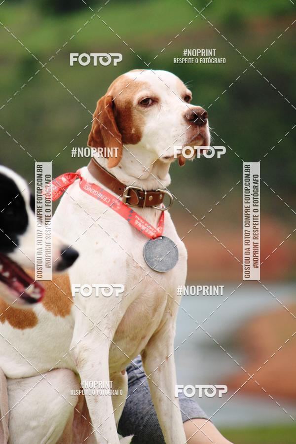 Buy your photos of the eventKaluan� Trail e Canicross - Irisphoto on Fotop