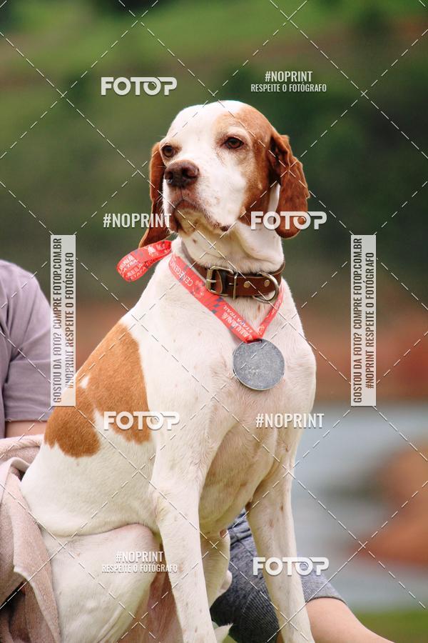 Buy your photos of the eventKaluan� Trail e Canicross - Irisphoto on Fotop