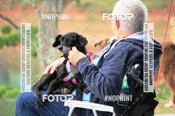 Buy your photos of the eventKaluan� Trail e Canicross - Irisphoto on Fotop