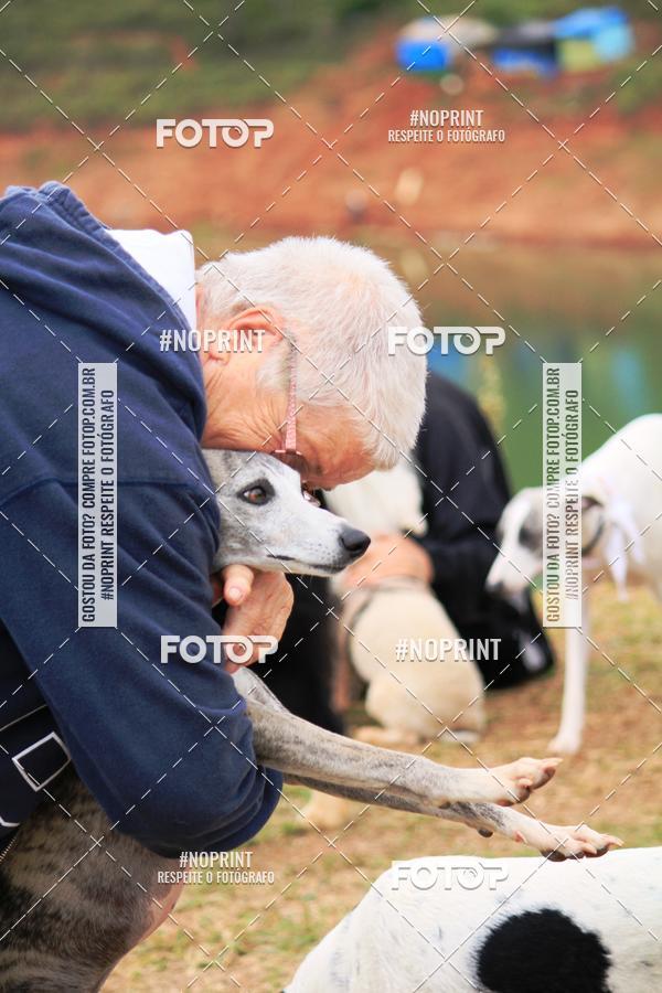 Buy your photos of the eventKaluan� Trail e Canicross - Irisphoto on Fotop