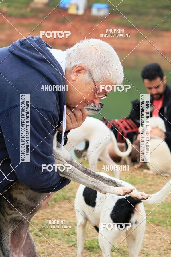 Buy your photos of the eventKaluan� Trail e Canicross - Irisphoto on Fotop