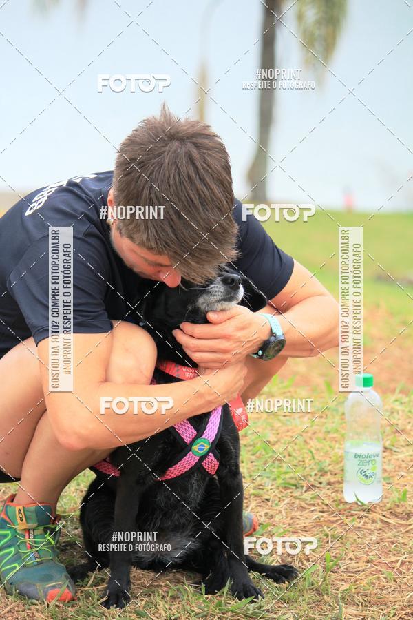 Buy your photos of the eventKaluan� Trail e Canicross - Irisphoto on Fotop