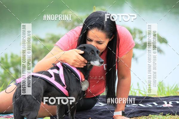 Buy your photos of the eventKaluan� Trail e Canicross - Irisphoto on Fotop