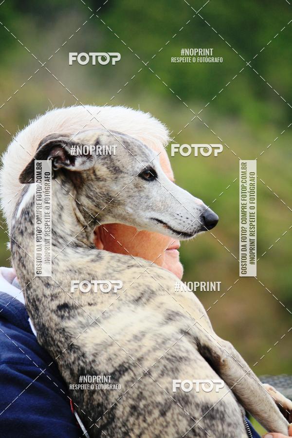 Buy your photos of the eventKaluan� Trail e Canicross - Irisphoto on Fotop