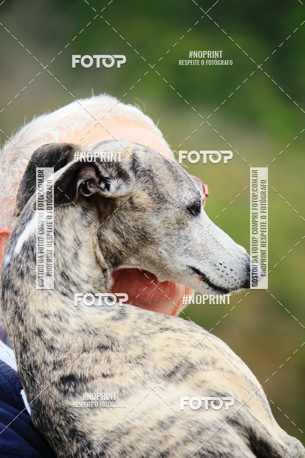 Buy your photos of the eventKaluan� Trail e Canicross - Irisphoto on Fotop