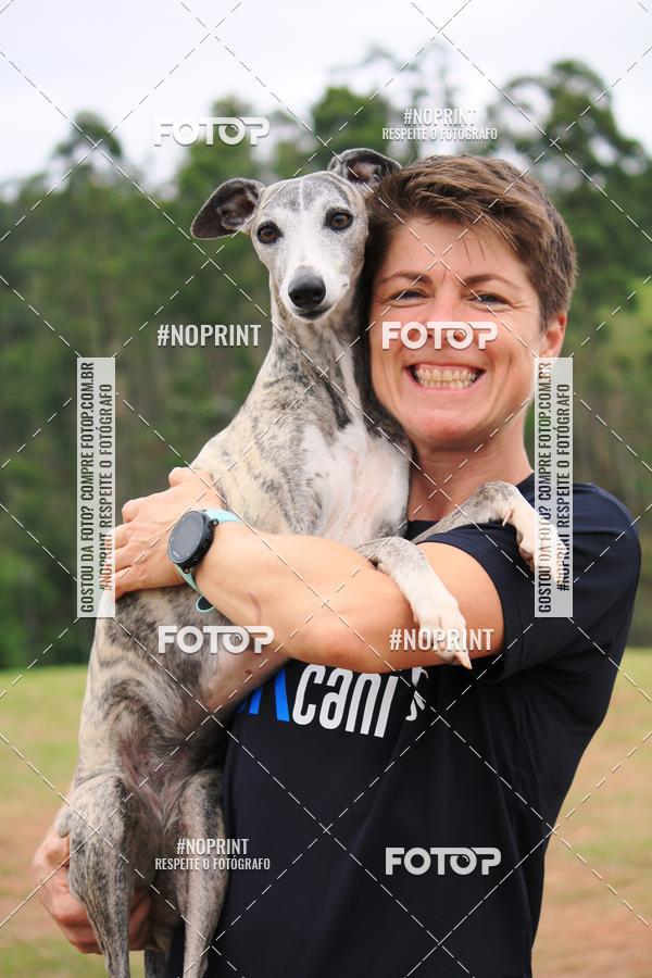 Buy your photos of the eventKaluan� Trail e Canicross - Irisphoto on Fotop