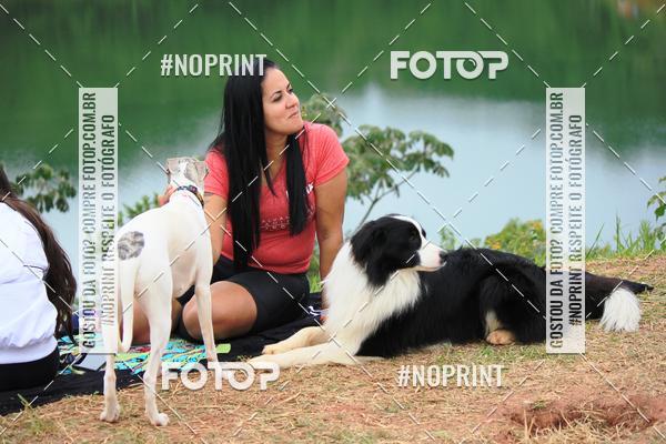 Buy your photos of the eventKaluan� Trail e Canicross - Irisphoto on Fotop