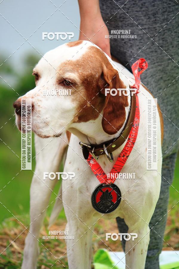 Buy your photos of the eventKaluan� Trail e Canicross - Irisphoto on Fotop