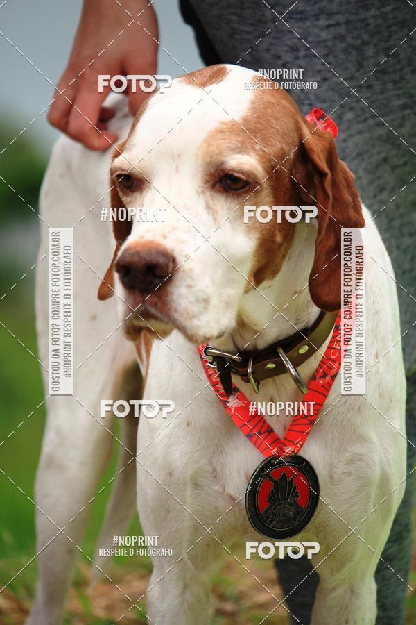 Buy your photos of the eventKaluan� Trail e Canicross - Irisphoto on Fotop