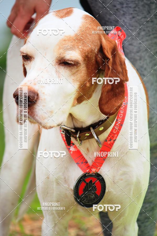 Buy your photos of the eventKaluan� Trail e Canicross - Irisphoto on Fotop