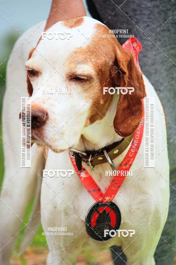 Buy your photos of the eventKaluan� Trail e Canicross - Irisphoto on Fotop