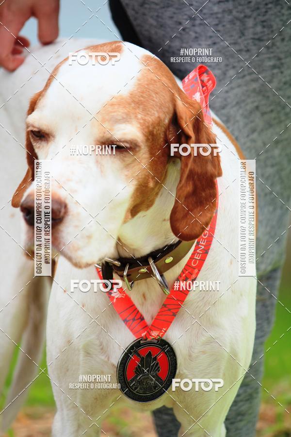 Buy your photos of the eventKaluan� Trail e Canicross - Irisphoto on Fotop