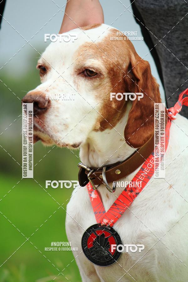 Buy your photos of the eventKaluan� Trail e Canicross - Irisphoto on Fotop