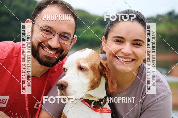 Buy your photos of the eventKaluan� Trail e Canicross - Irisphoto on Fotop