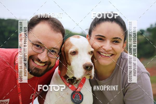 Buy your photos of the eventKaluan� Trail e Canicross - Irisphoto on Fotop