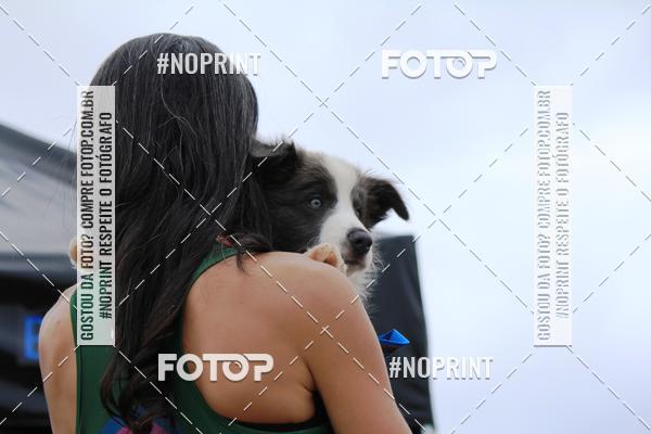 Buy your photos of the eventKaluan� Trail e Canicross - Irisphoto on Fotop