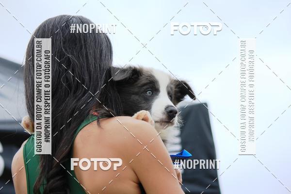 Buy your photos of the eventKaluan� Trail e Canicross - Irisphoto on Fotop