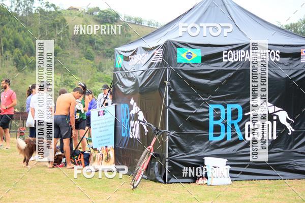 Buy your photos of the eventKaluan� Trail e Canicross - Irisphoto on Fotop