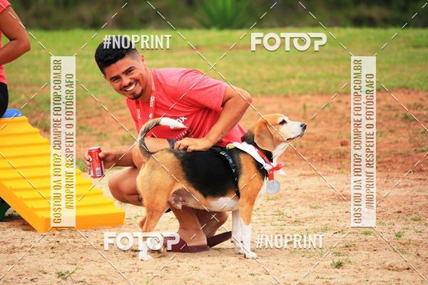 Buy your photos of the eventKaluan� Trail e Canicross - Irisphoto on Fotop