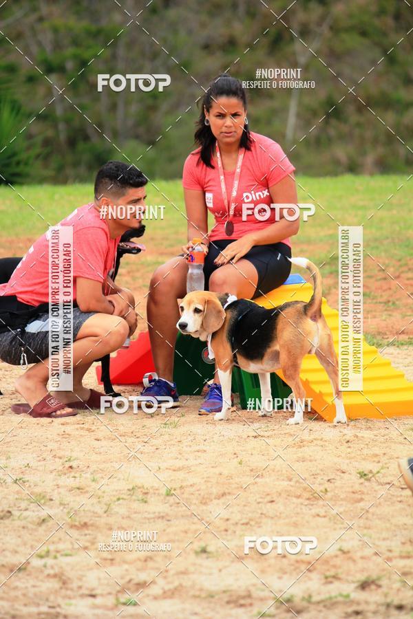 Buy your photos of the eventKaluan� Trail e Canicross - Irisphoto on Fotop