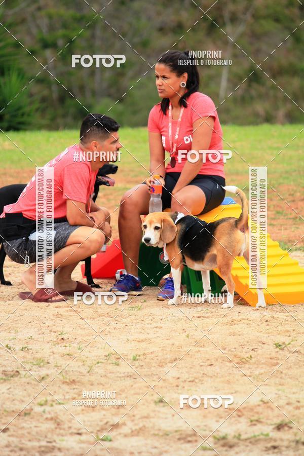 Buy your photos of the eventKaluan� Trail e Canicross - Irisphoto on Fotop