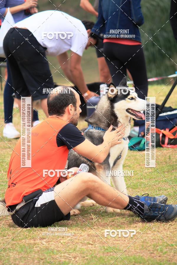 Buy your photos of the eventKaluan� Trail e Canicross - Irisphoto on Fotop