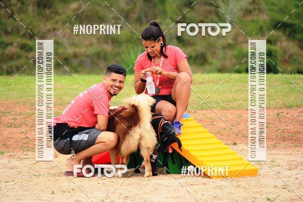 Buy your photos of the eventKaluan� Trail e Canicross - Irisphoto on Fotop