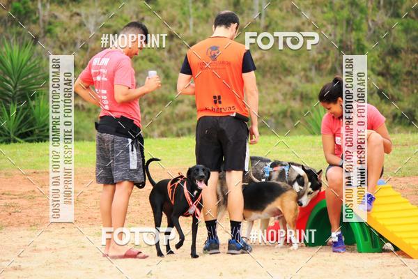 Buy your photos of the eventKaluan� Trail e Canicross - Irisphoto on Fotop