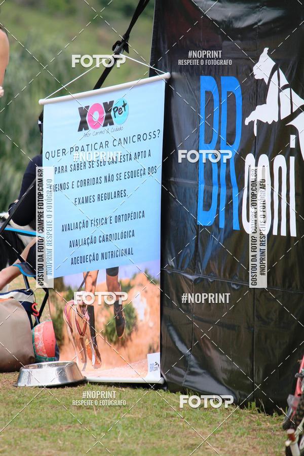 Buy your photos of the eventKaluan� Trail e Canicross - Irisphoto on Fotop