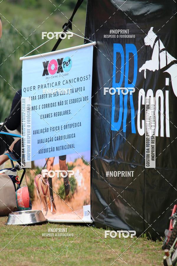 Buy your photos of the eventKaluan� Trail e Canicross - Irisphoto on Fotop