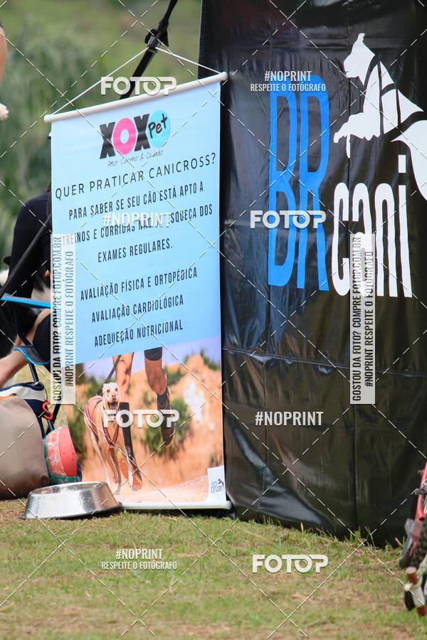 Buy your photos of the eventKaluan� Trail e Canicross - Irisphoto on Fotop