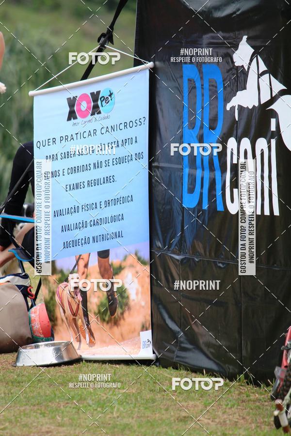 Buy your photos of the eventKaluan� Trail e Canicross - Irisphoto on Fotop