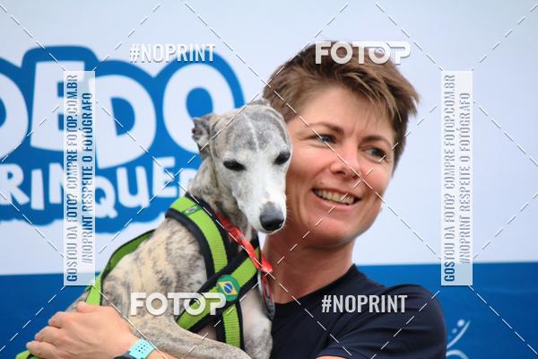 Buy your photos of the eventKaluan� Trail e Canicross - Irisphoto on Fotop